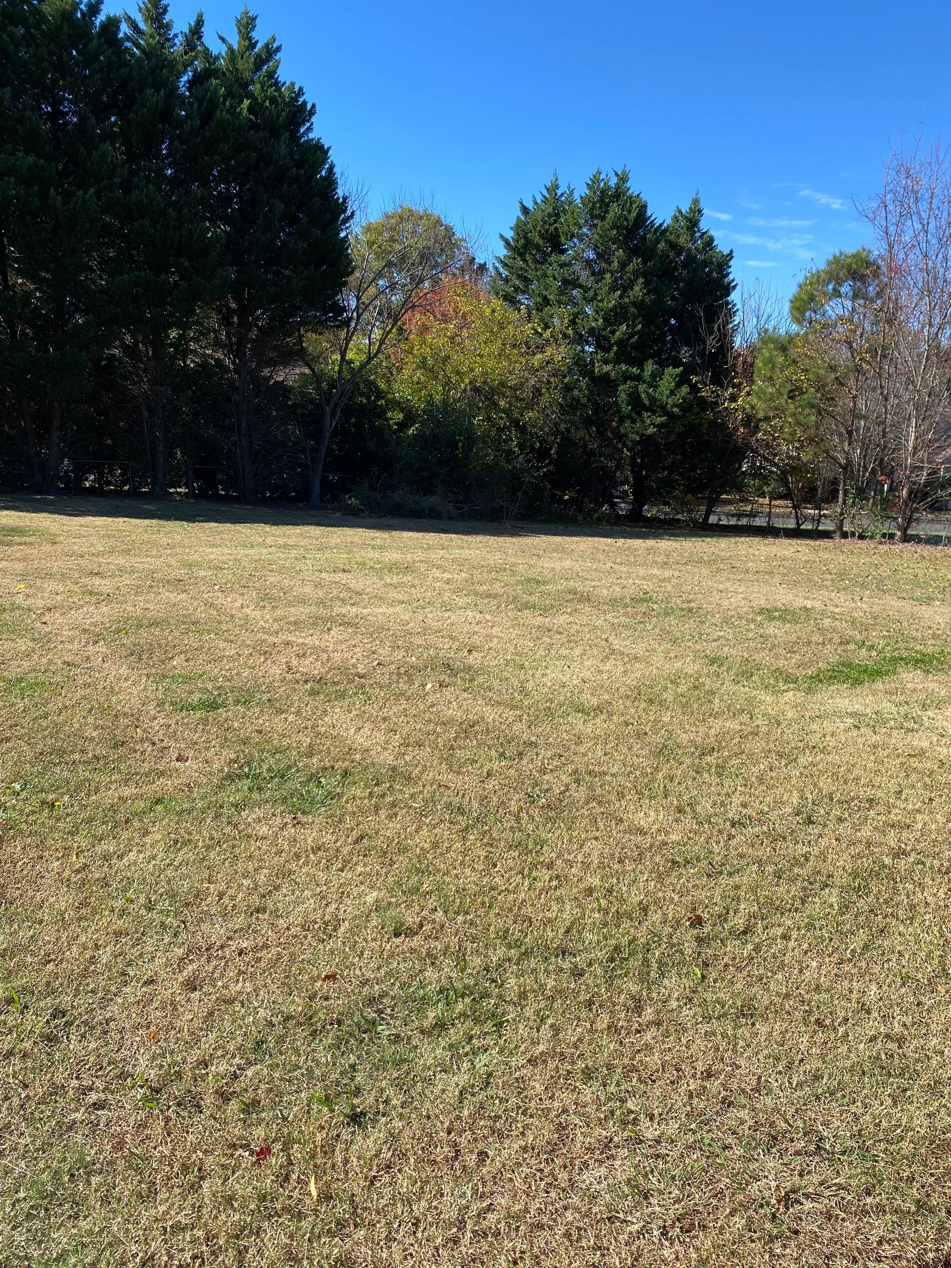 Fenced yard with natural grass and trees